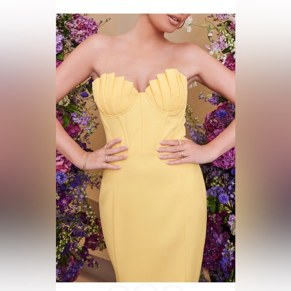 NWT Lavish Alice Pleated Bust Dress - Picture 2 of 5